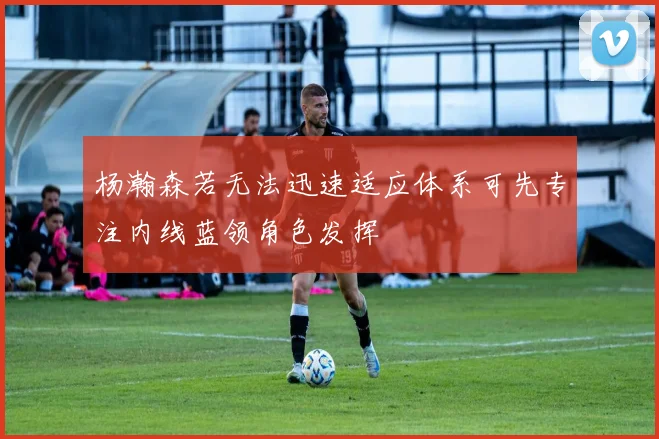 杨瀚森若无法迅速适应体系可先专注内线蓝领角色发挥