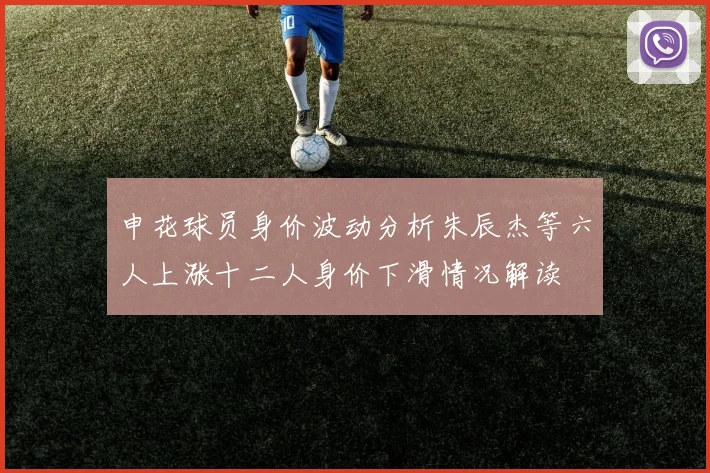 申花球员身价波动分析朱辰杰等六人上涨十二人身价下滑情况解读